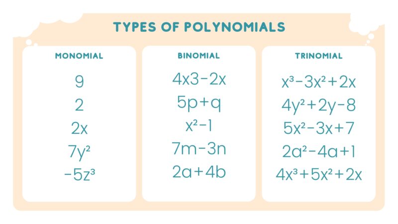 Types of Polynomials